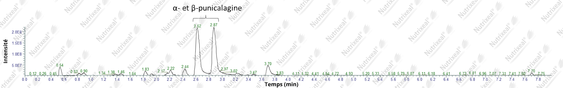 Grenade Bio Ellagitannins Punicalagine Analyse Chromatogramme